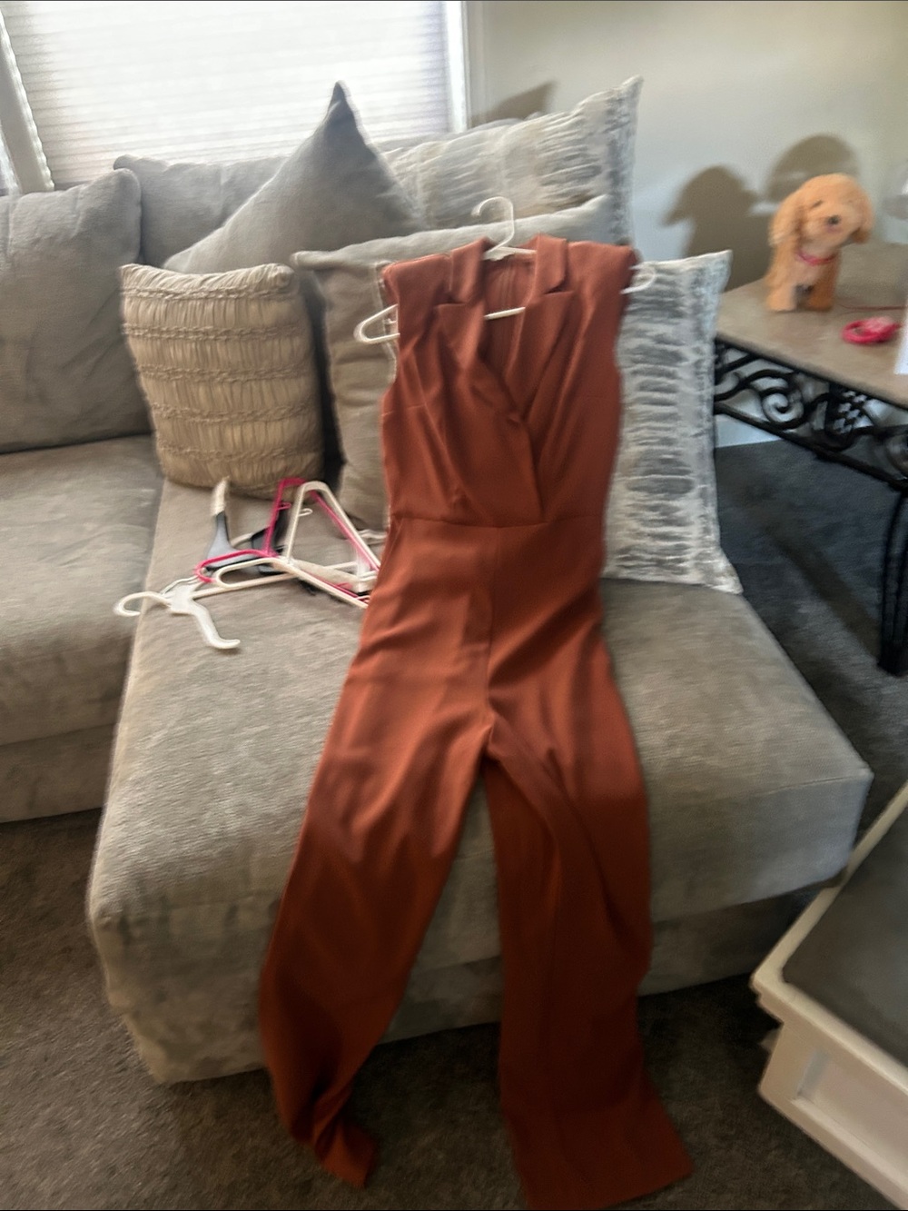 Express Rust Sleeveless V-Neck Jumpsuit